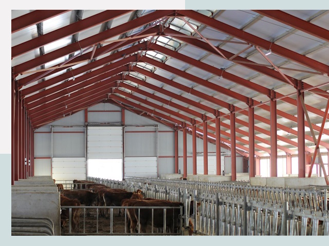 Строительство коровников в Назрани