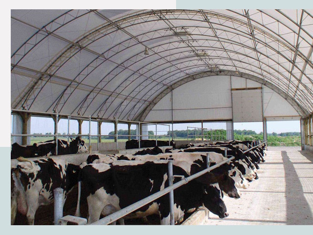 Тентовые коровники в Назрани